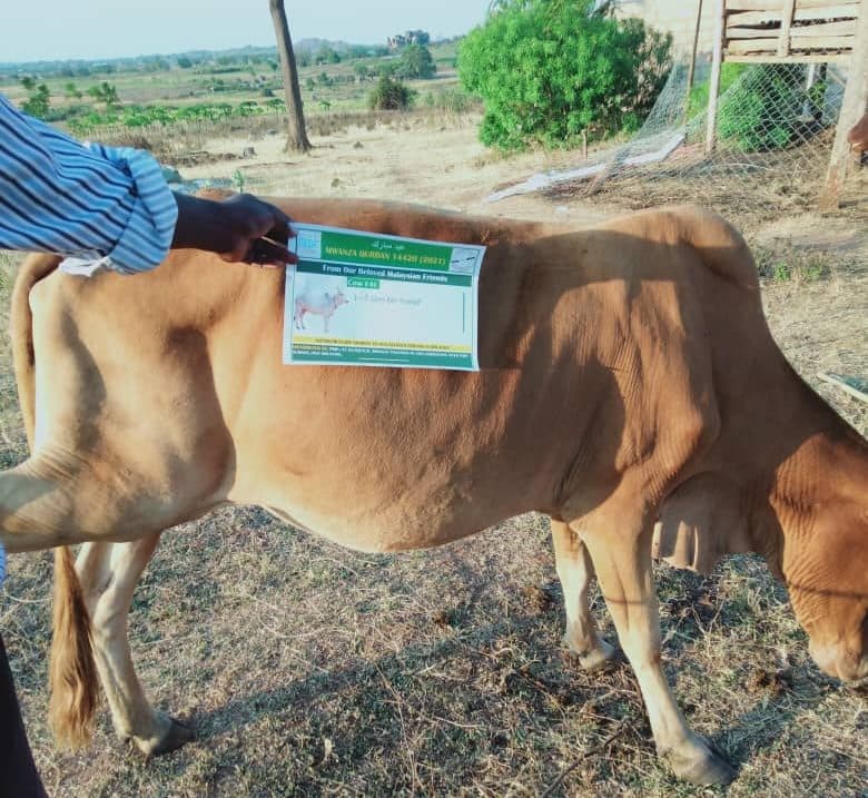 Qurban Tanzania 1442H